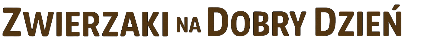 Zwierzaki na Dobry Dzień